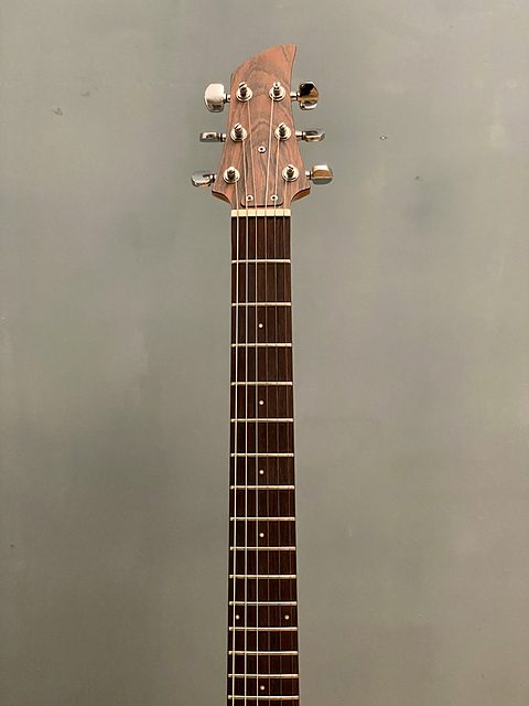 Ampeg Dan Armstrong, photo 3